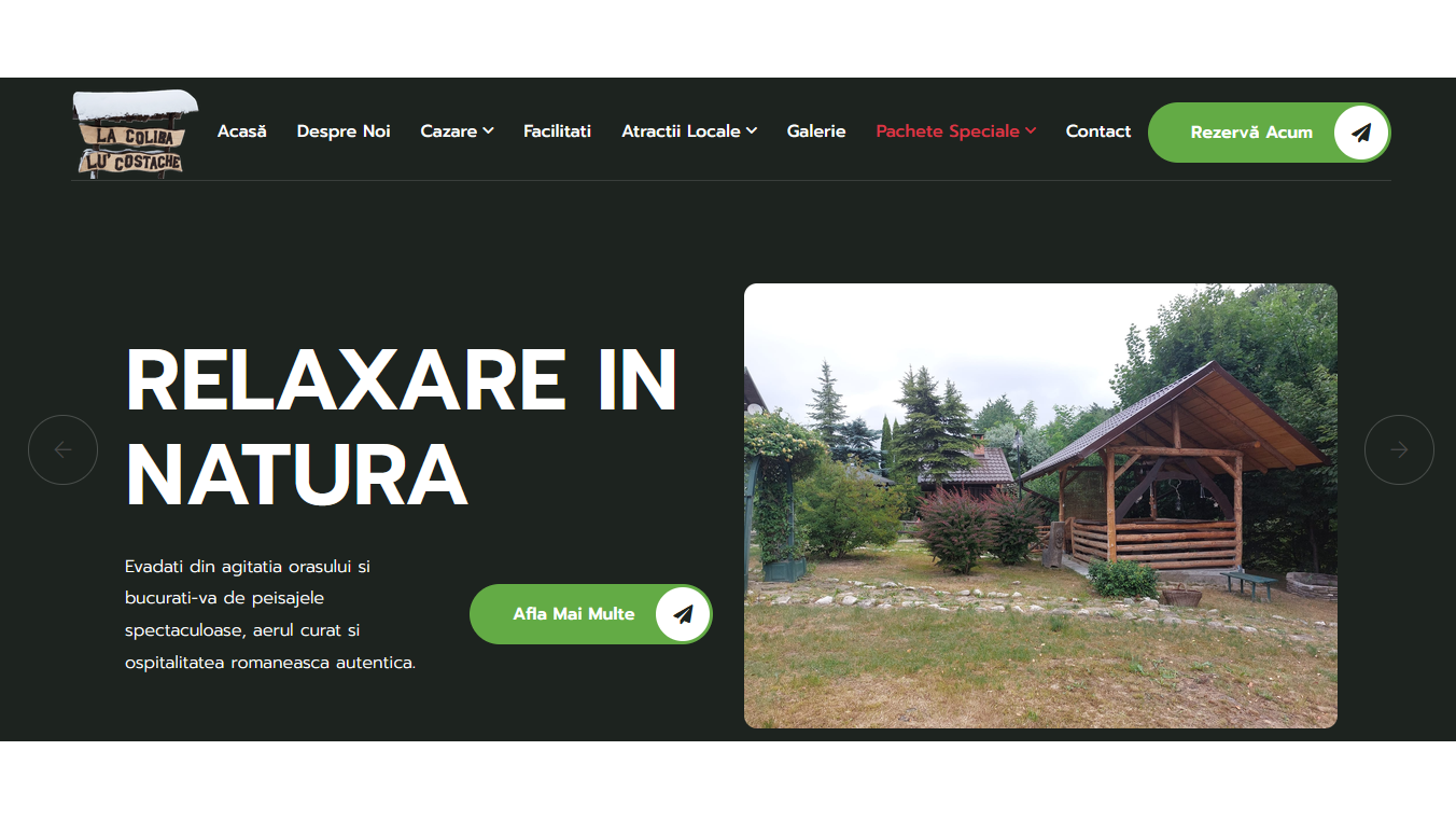 La Coliba lu' Costache mountain cabin booking website homepage